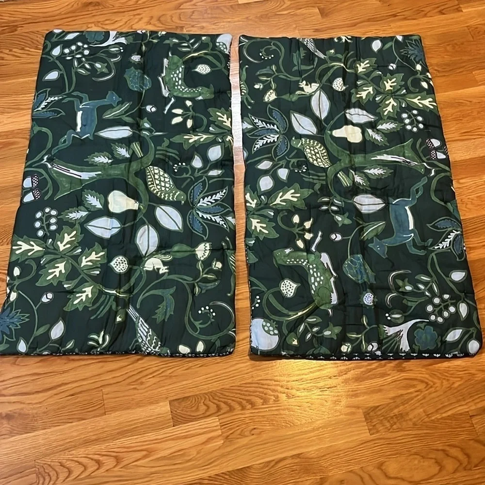 Anthropologie Nora Organic Cotton Printed King Shams NWT